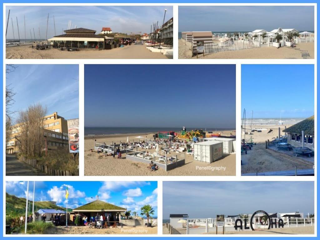 Apartment Penthousebeach *