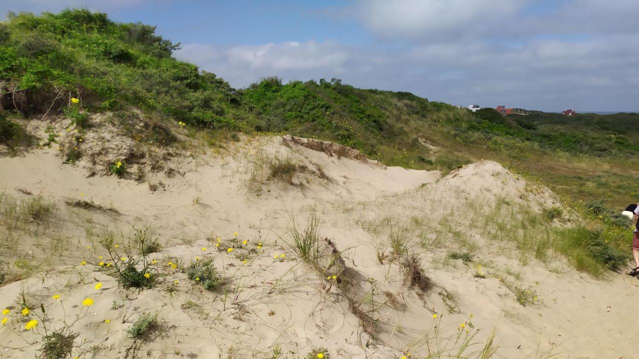 Penthousebeach Koksijde