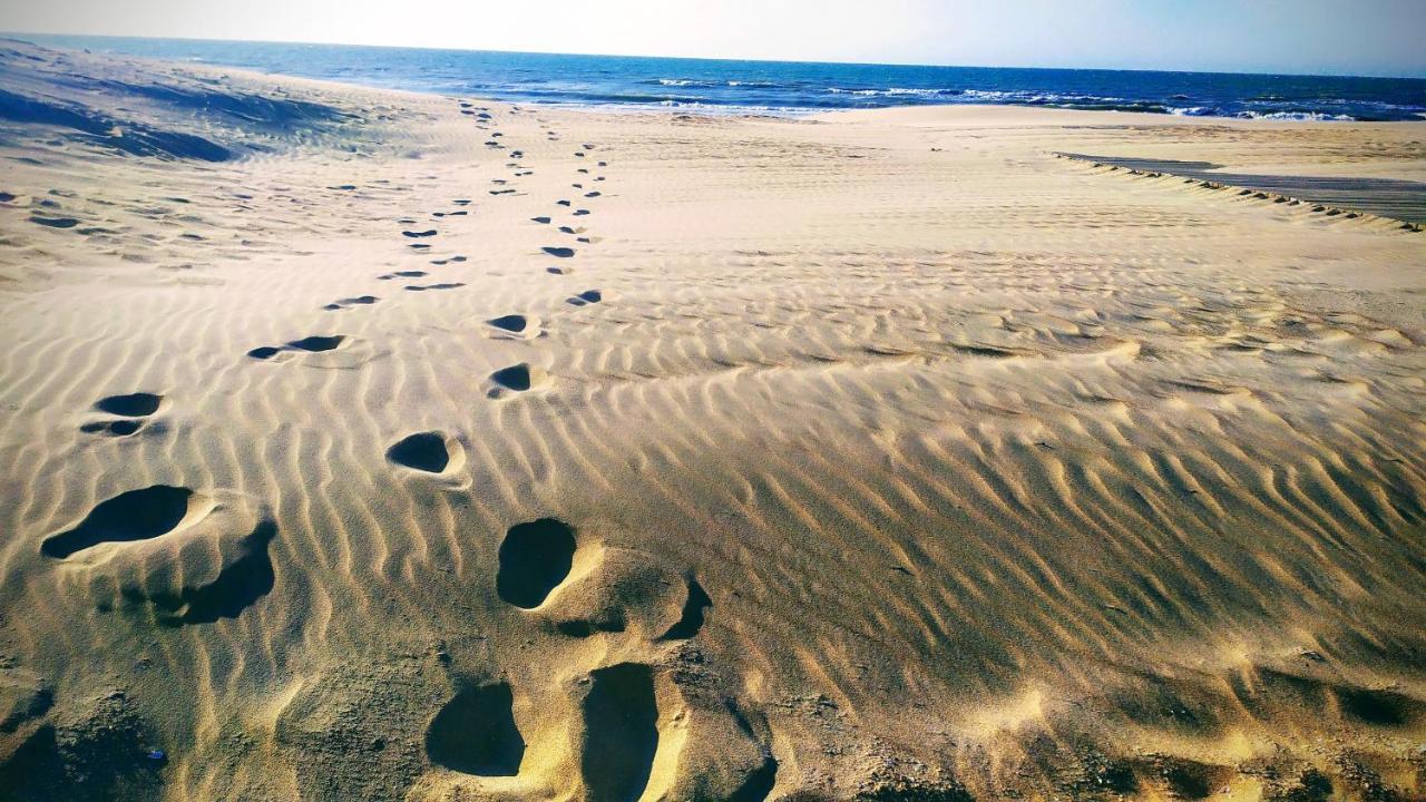 Penthousebeach Koksijde